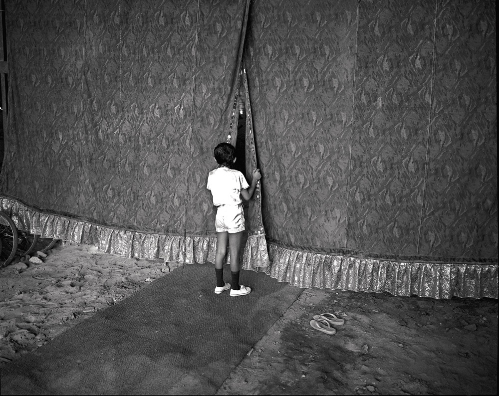 ARIG50_11