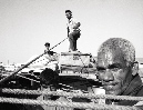 ARIG37_9