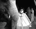ARIG45_35